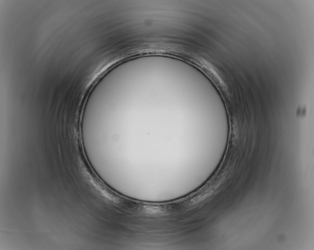 X0000090900794200707301010
