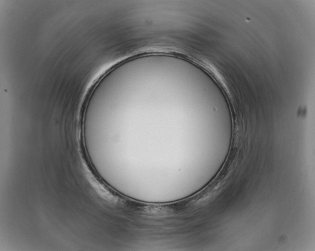 X0000090900795200707301010