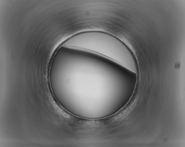 X0000090900797200707301010