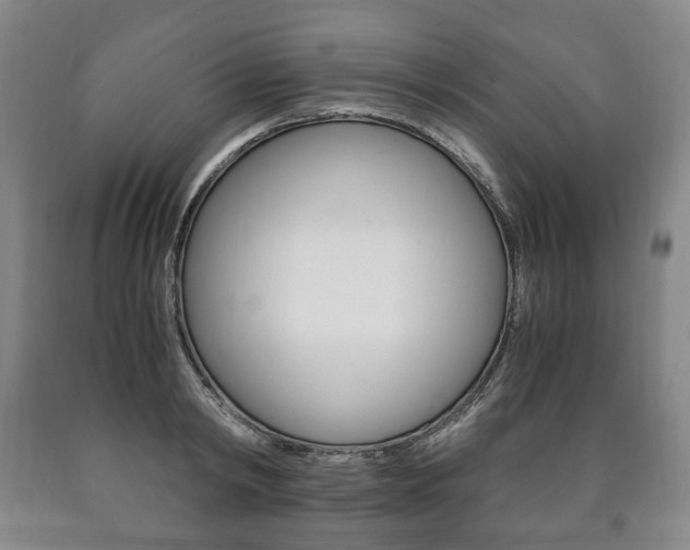 X0000090900798200707301010