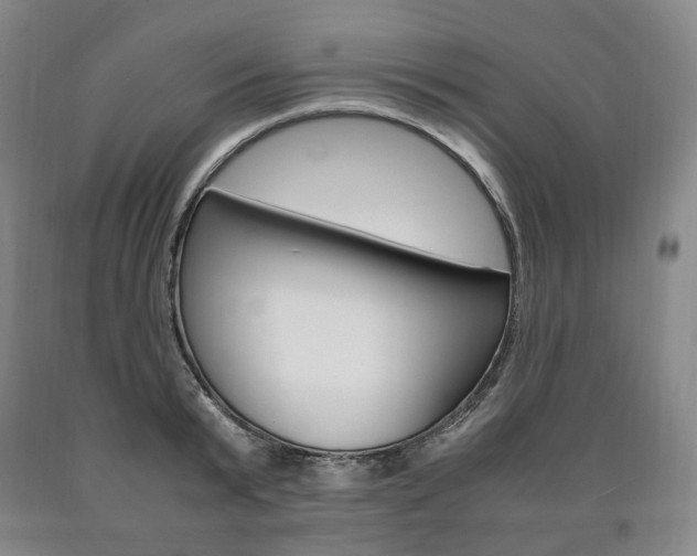 X0000090900799200707301010