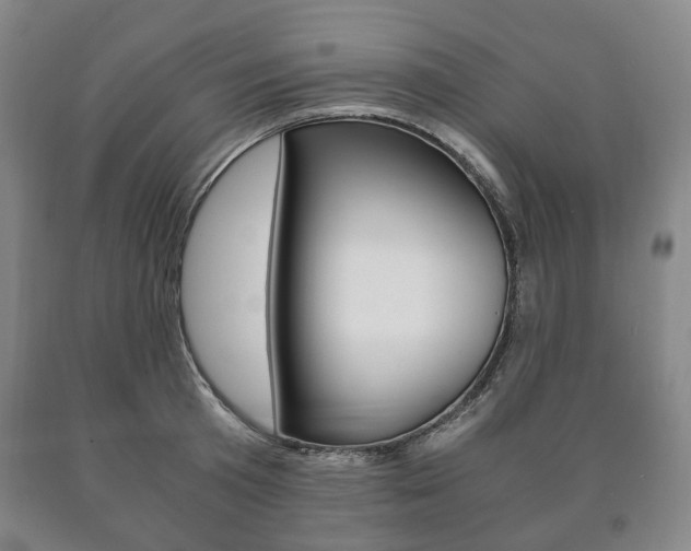 X0000090900801200707301010