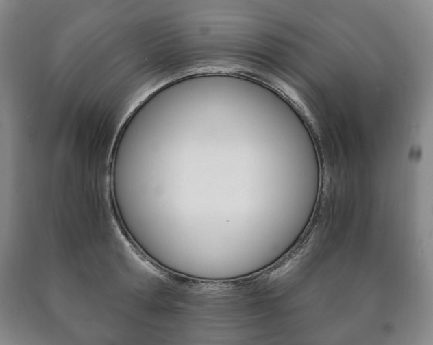 X0000090900802200707301010