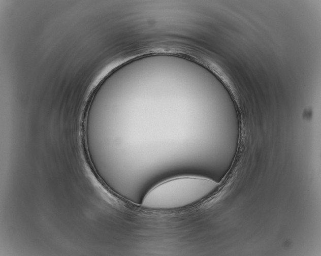 X0000090900803200707301010