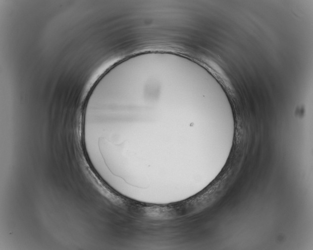 X0000090900804200707301010
