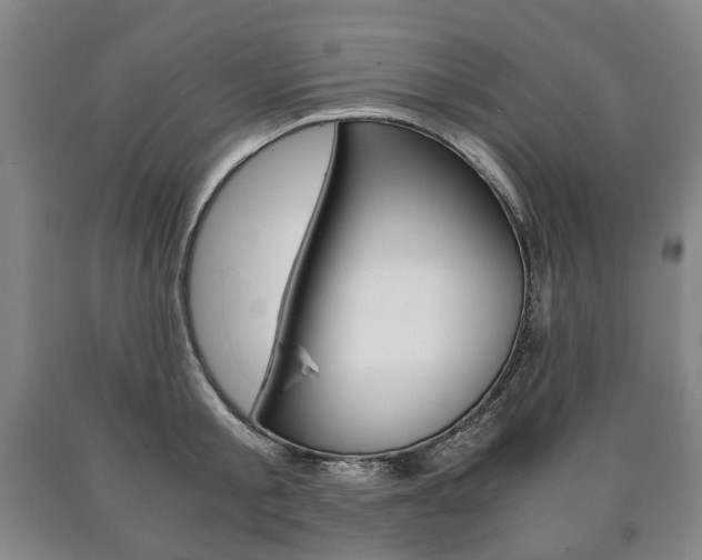 X0000090900805200707301010