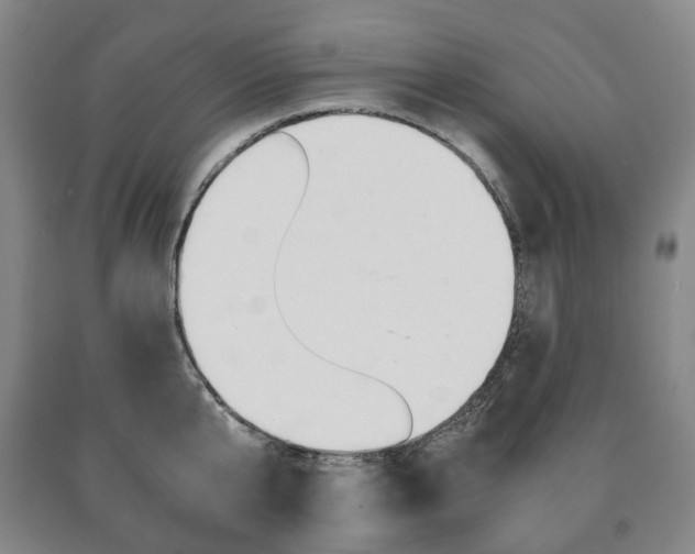 X0000090900807200707301010