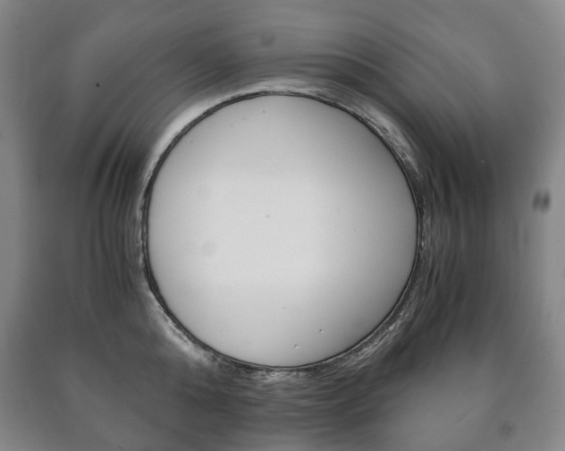 X0000090900808200707301010