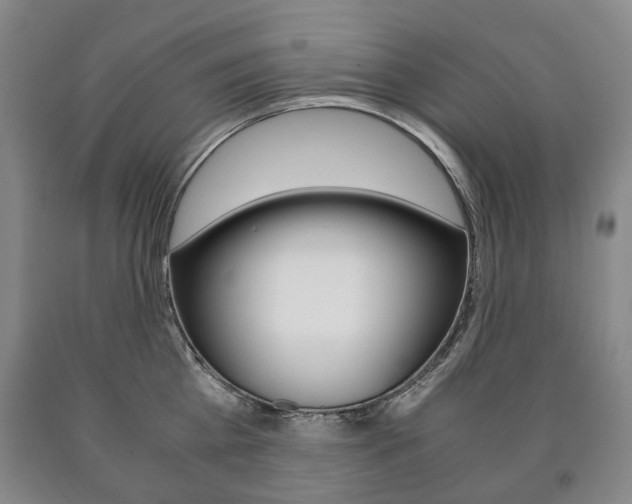 X0000090900809200707301010