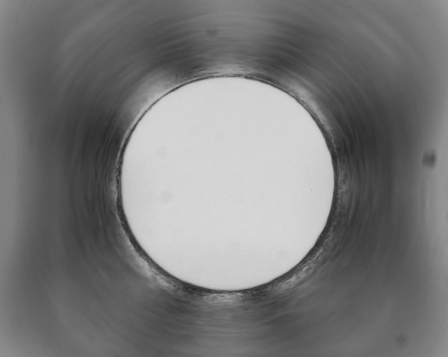 X0000090900810200707301010