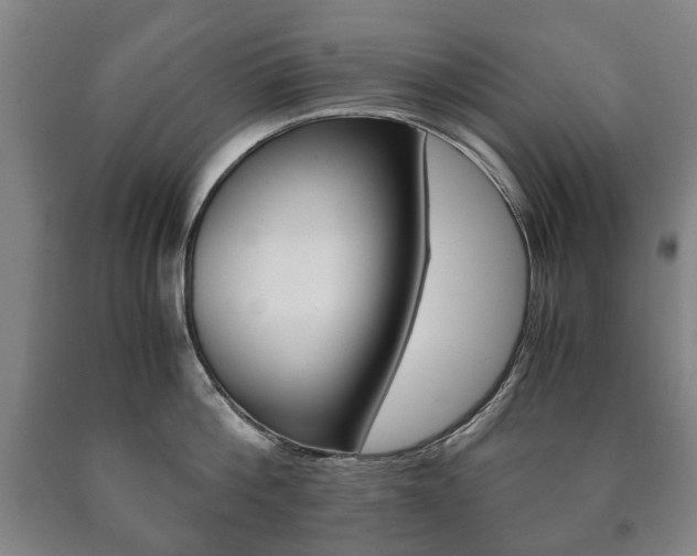 X0000090900812200707301010