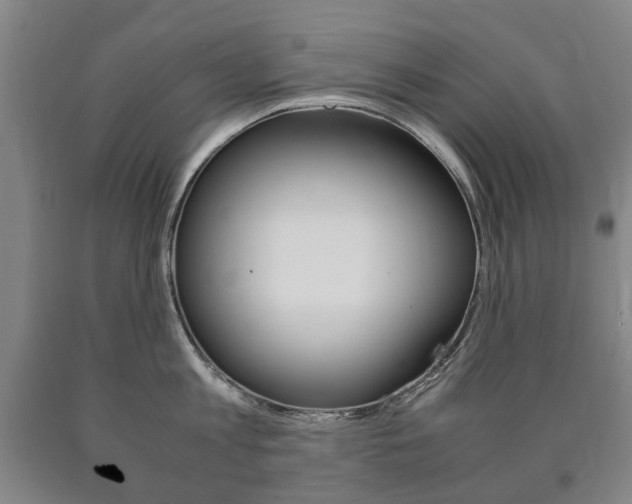 X0000090900813200707301010