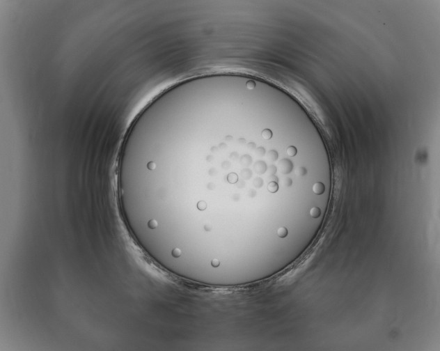 X0000090900814200707301010