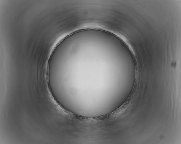 X0000090900815200707301010