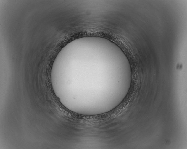 X0000090900817200707301009