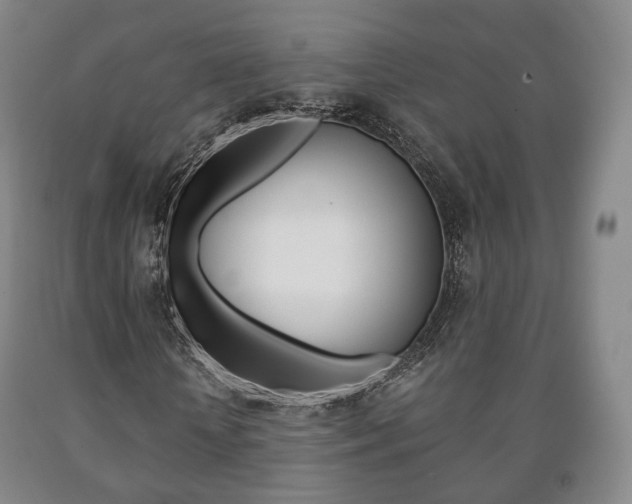 X0000090900818200707301009