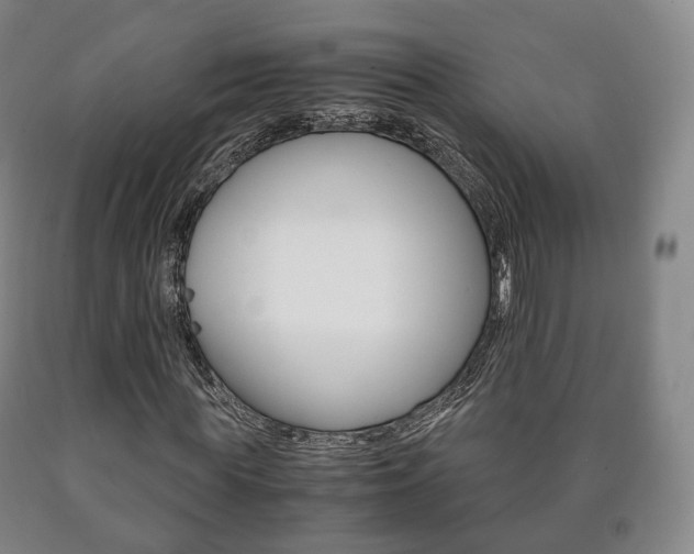 X0000090900819200707301009