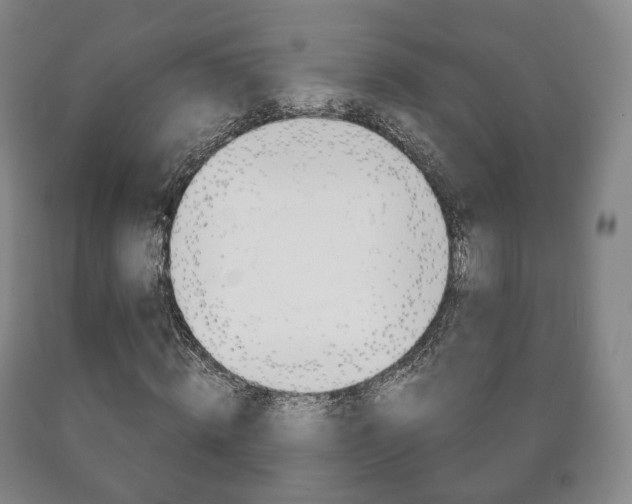 X0000090900820200707301009