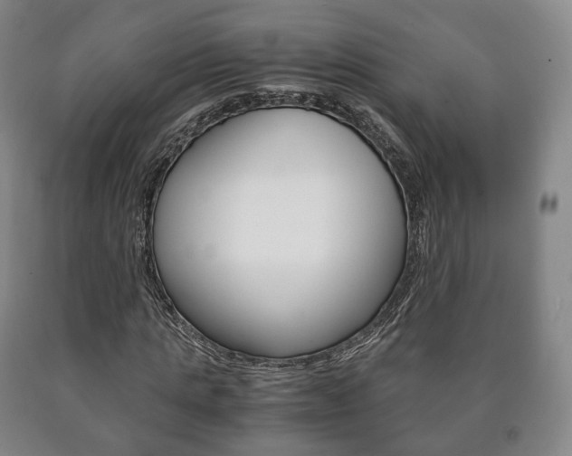 X0000090900821200707301009