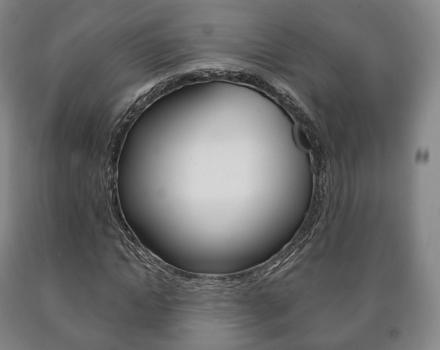 X0000090900822200707301009