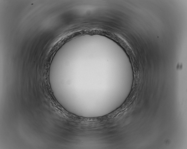 X0000090900823200707301009