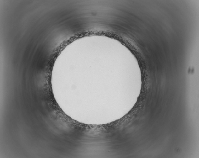 X0000090900824200707301009