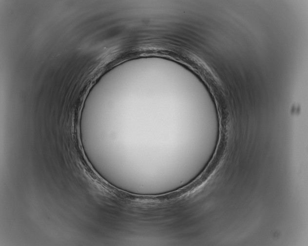 X0000090900825200707301009