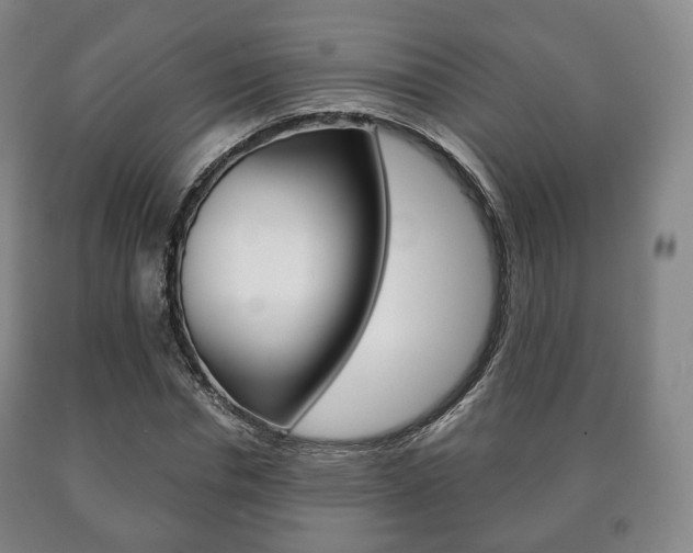 X0000090900826200707301009