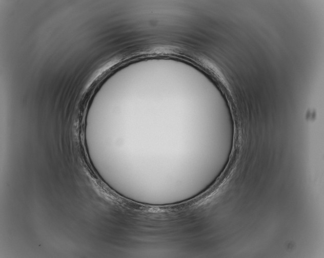 X0000090900827200707301009