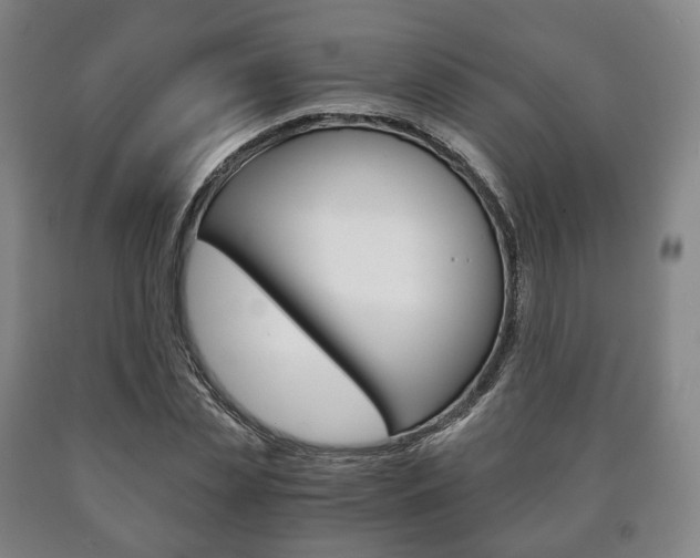 X0000090900829200707301009