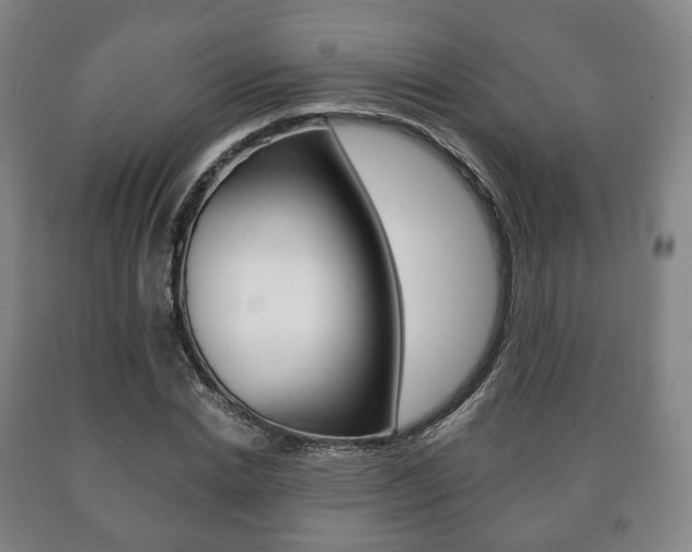 X0000090900830200707301009