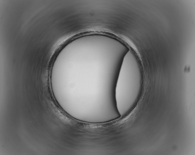 X0000090900831200707301009