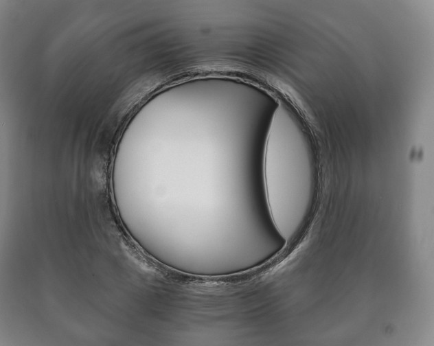 X0000090900833200707301009