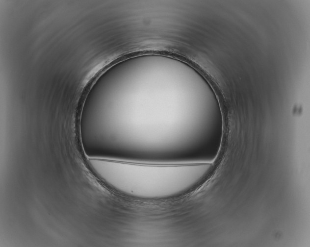 X0000090900834200707301009