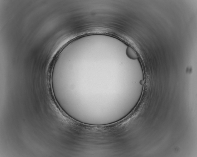 X0000090900835200707301009