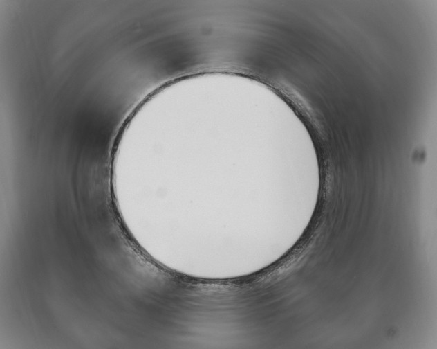 X0000090900836200707301009