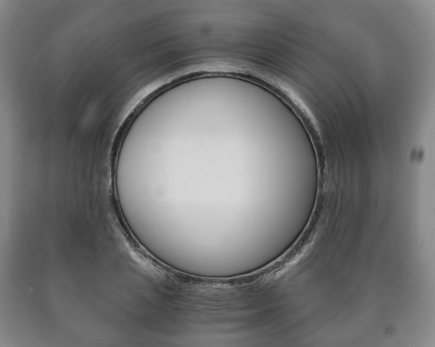 X0000090900837200707301009