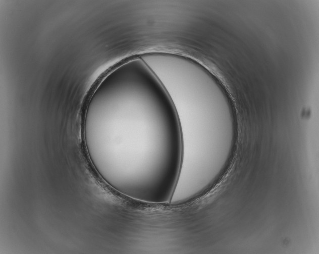X0000090900838200707301009