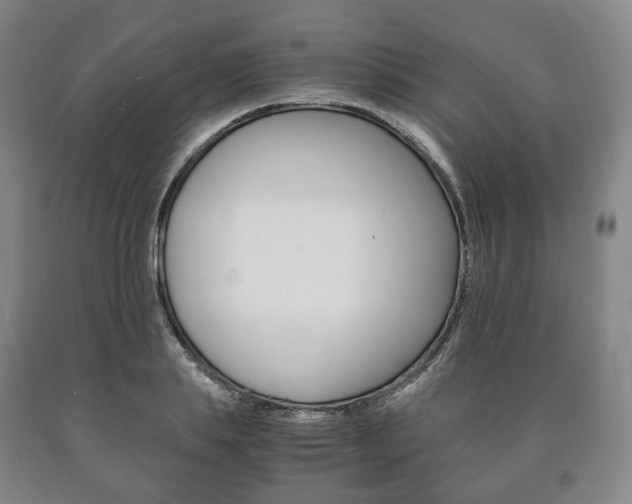 X0000090900839200707301009