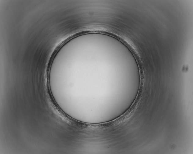 X0000090900840200707301009