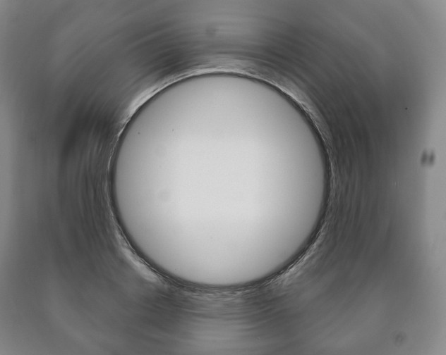 X0000090900842200707301009