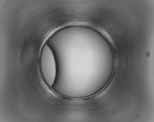 X0000090900844200707301009