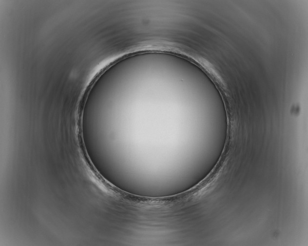 X0000090900846200707301009