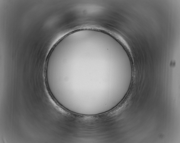 X0000090900847200707301009