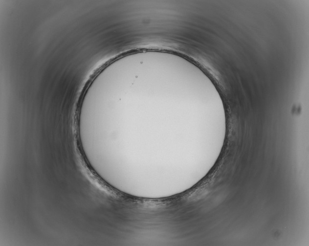 X0000090900848200707301009