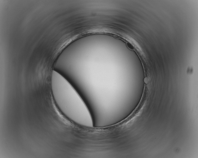 X0000090900849200707301009