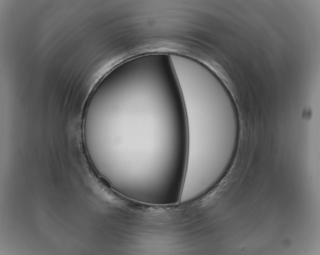 X0000090900850200707301010