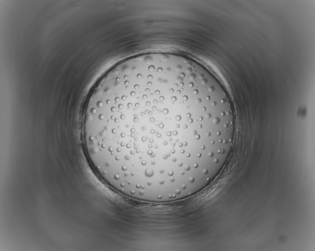 X0000090900851200707301010