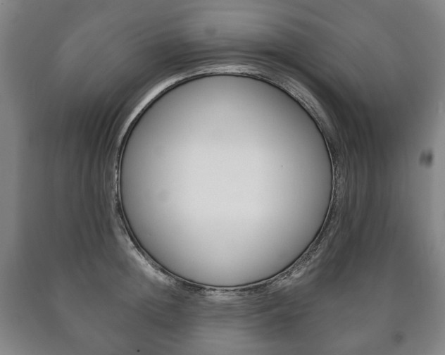 X0000090900852200707301010