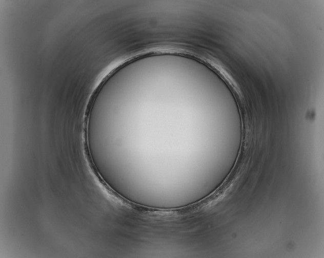 X0000090900853200707301010